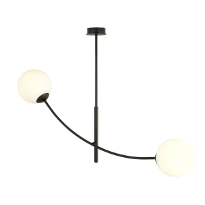 Lampa sufitowa HUNTER 2 BLACK/OPAL 1102/2 EMIBIG