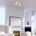 Lampa sufitowa DIXIE Biały 2xGX53 MLP7595 Milagro