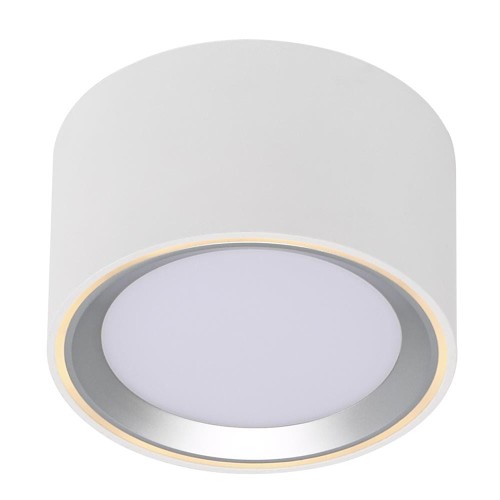 Oczko sufitowe FALLON kolor Biały/Steel IP20 47540132 NORDLUX