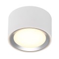 Oczko sufitowe FALLON kolor Biały/Steel IP20 47540132 NORDLUX
