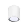 Spot łazienkowy LANDON kolor Biały IP44 2110670101 NORDLUX