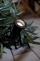 Reflektorek światło punktowe zewnętrzne SPOTLIGHT kolor Czarny IP54 20789903 NORDLUX