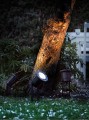Reflektorek światło punktowe zewnętrzne SPOTLIGHT kolor Czarny IP54 20789903 NORDLUX