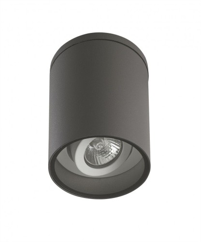 Lampa sufitowa spot Adela 7004 DG SU-MA
