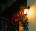 Lampa ścienna kinkiet Retro Classic K 3012/1/D g SU-MA