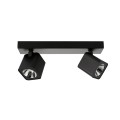 Lampa sufitowa Aveiro  SPL-31981-2B-BK Italux
