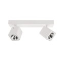 Lampa sufitowa Aveiro  SPL-31981-2B-WH Italux