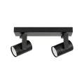 Lampa sufitowa Spiela  SPL-31993-2B-BK Italux