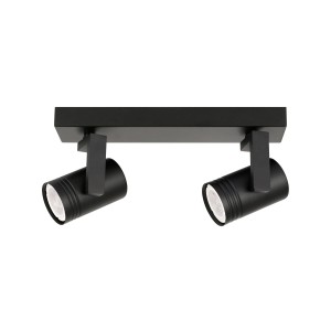 Lampa sufitowa Spiela  SPL-31993-2B-BK Italux