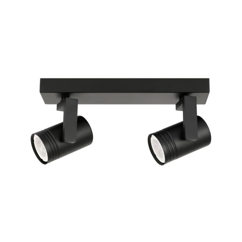 Lampa sufitowa Spiela  SPL-31993-2B-BK Italux