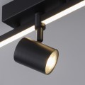 Lampa sufitowa BARIK 2 - punktowa czarny PaulNeuhaus - 6523-18