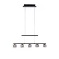 Lampa wisząca sufitowa HYDRA 5 - punktowa czarny PaulNeuhaus - 2209-18