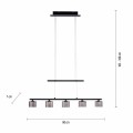 Lampa wisząca sufitowa HYDRA 5 - punktowa czarny PaulNeuhaus - 2209-18