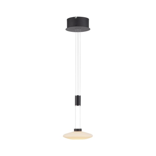 Lampa wisząca sufitowa LAUTADA 1 - punktowa czarny PaulNeuhaus - 2080-18