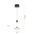 Lampa wisząca sufitowa LAUTADA 1 - punktowa czarny PaulNeuhaus - 2080-18