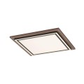 Lampa sufitowa PALMA 2 - punktowa drewna PaulNeuhaus - 6141-79