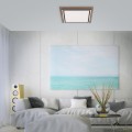 Lampa sufitowa PALMA 2 - punktowa drewna PaulNeuhaus - 6141-79