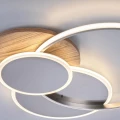 Lampa sufitowa PALMA 1 - punktowa drewna PaulNeuhaus - 8328-79