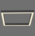 Lampa sufitowa PURE-LINES 1 - punktowa antracyt PaulNeuhaus - 6022-13