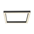 Lampa sufitowa PURE-LINES 1 - punktowa antracyt PaulNeuhaus - 6022-13