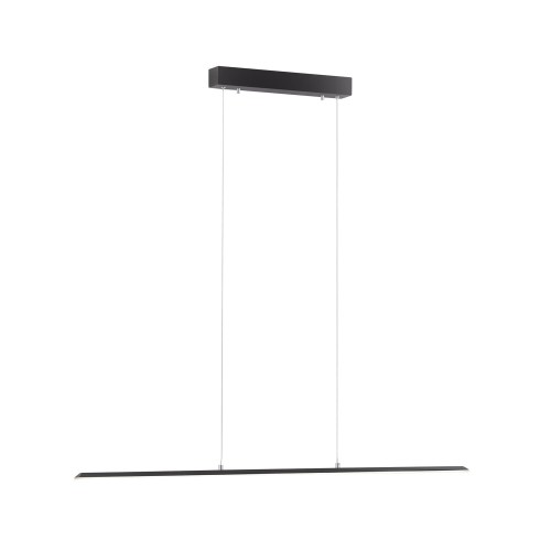 Lampa wisząca sufitowa PURE-LITE 1 - punktowa antracyt PaulNeuhaus - 8375-13