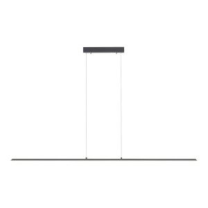 Lampa wisząca sufitowa PURE-LITE 1 - punktowa antracyt PaulNeuhaus - 8377-13