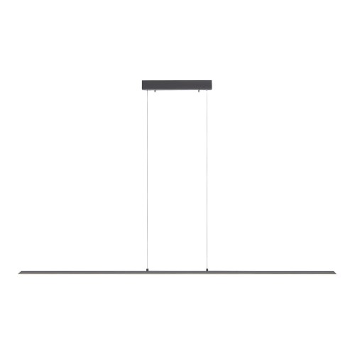 Lampa wisząca sufitowa PURE-LITE 1 - punktowa antracyt PaulNeuhaus - 8377-13