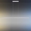 Lampa wisząca sufitowa PURE-LITE 1 - punktowa srebrny PaulNeuhaus - 8377-55