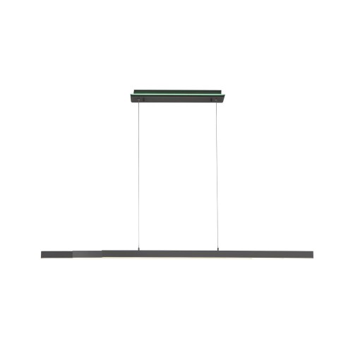 Lampa wisząca sufitowa Q-ARIAN 4 - punktowa antracyt PaulNeuhaus - 2569-13