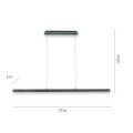 Lampa wisząca sufitowa Q-ARIAN 4 - punktowa antracyt PaulNeuhaus - 2569-13