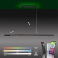 Lampa wisząca sufitowa Q-ARIAN 4 - punktowa antracyt PaulNeuhaus - 2569-13