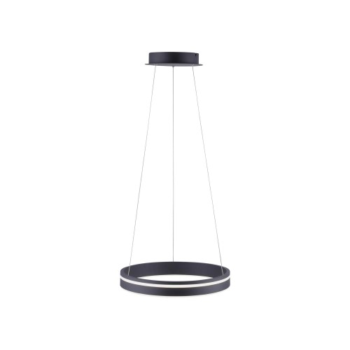 Lampa wisząca sufitowa Q-VITO 1 - punktowa antracyt PaulNeuhaus - 8410-13