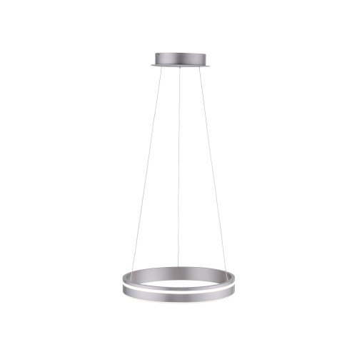 Lampa wisząca sufitowa Q-VITO 1 - punktowa srebrny PaulNeuhaus - 8410-55