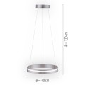 Lampa wisząca sufitowa Q-VITO 1 - punktowa srebrny PaulNeuhaus - 8410-55