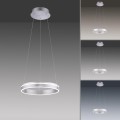 Lampa wisząca sufitowa Q-VITO 1 - punktowa srebrny PaulNeuhaus - 8410-55