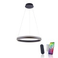 Lampa wisząca sufitowa Q-VITO 1 - punktowa antracyt PaulNeuhaus - 8411-13