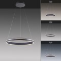 Lampa wisząca sufitowa Q-VITO 1 - punktowa antracyt PaulNeuhaus - 8411-13