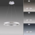 Lampa wisząca sufitowa Q-VITO 1 - punktowa srebrny PaulNeuhaus - 8411-55