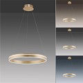 Lampa wisząca sufitowa Q-VITO 1 - punktowa mosiądz matowy PaulNeuhaus - 8411-60