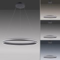 Lampa wisząca sufitowa Q-VITO 1 - punktowa antracyt PaulNeuhaus - 8412-13
