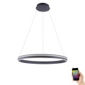 Lampa wisząca sufitowa Q-VITO 1 - punktowa antracyt PaulNeuhaus - 8412-13