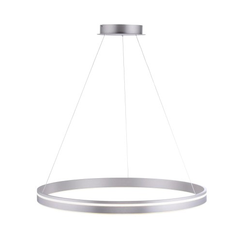 Lampa wisząca sufitowa Q-VITO 1 - punktowa srebrny PaulNeuhaus - 8412-55