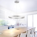 Lampa wisząca sufitowa Q-VITO 1 - punktowa srebrny PaulNeuhaus - 8412-55