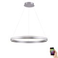 Lampa wisząca sufitowa Q-VITO 1 - punktowa srebrny PaulNeuhaus - 8412-55