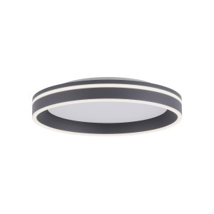 Lampa sufitowa Q-VITO 1 - punktowa antracyt PaulNeuhaus - 8414-13