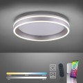 Lampa sufitowa Q-VITO 1 - punktowa antracyt PaulNeuhaus - 8414-13