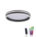 Lampa sufitowa Q-VITO 1 - punktowa antracyt PaulNeuhaus - 8414-13