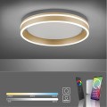 Lampa sufitowa Q-VITO 1 - punktowa mosiądz matowy PaulNeuhaus - 8414-60