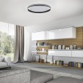 Lampa sufitowa Q-VITO 1 - punktowa antracyt PaulNeuhaus - 8416-13