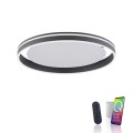 Lampa sufitowa Q-VITO 1 - punktowa antracyt PaulNeuhaus - 8416-13